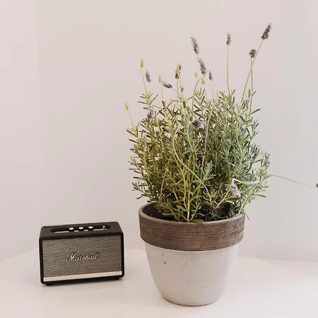 5 Hermoupolis Concept Sites 3*