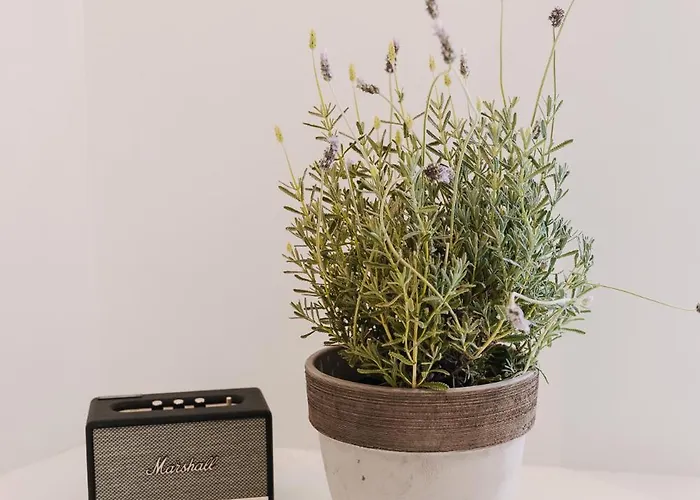 5 Hermoupolis Concept Sites 3*